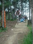 DSC01340.jpg