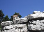 DSCF0281.jpg