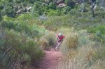 DSC00090.JPG