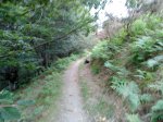 DSC00506.jpg