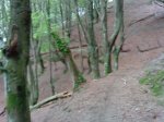 DSC00507.jpg