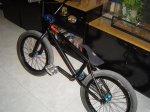 DSC00459.jpg