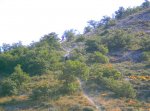 DSCN1737.jpg