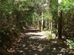 DSC00472.jpg