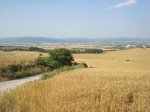 DSC00500.jpg