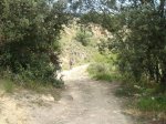 DSC00513.jpg