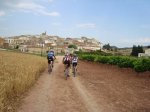 DSC00509.jpg