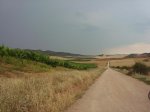 DSC00525.jpg