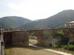 DSC00696.jpg