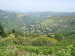 DSC00719.jpg