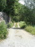 DSC00714.jpg
