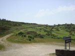 DSC00724.jpg