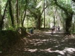 DSC00796.jpg