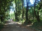 DSC00791.jpg