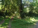 DSC00792.jpg
