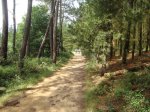 DSC00785.jpg