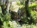 DSCN0342.jpg
