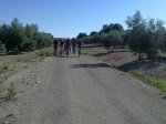 11072010539.jpg