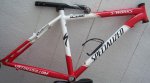 cuadro specialized.jpg