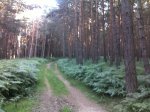 12072010027.jpg
