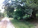 12072010026.jpg