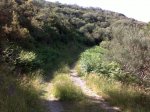 12072010024.jpg