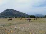 IMAG0103.jpg
