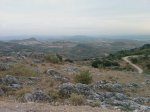 IMAG0062.jpg