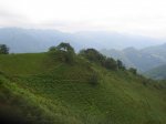 CIMG8103.jpg