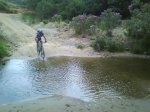DSC00331.jpg