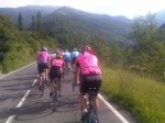 IMG00193-20100626-0945.jpg