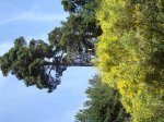 DSC03477.jpg