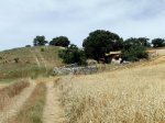 CIMG0728p.jpg