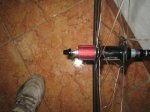 IMG_1058.jpg