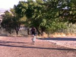 13072010006.jpg