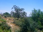 Foto11.JPG