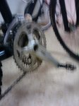 IMAG0215.jpg