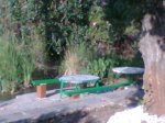 Imagen042.jpg