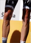 tdf10st11gc-legs.jpg