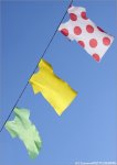 tdf10st11gc-jerseys.jpg