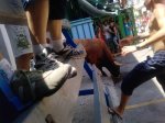 P1437_16-07-10.jpg