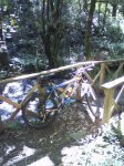 DSC00085.jpg