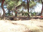 SDC11914.JPG