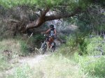 IMG_0626.jpg