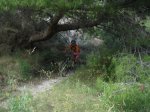 IMG_0624.jpg