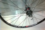 bontrager_ritchey wcs (2).jpg