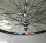 lx_ritchey pro (1).jpg