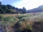 16072010938.jpg