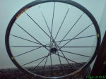 DSC00533.jpg