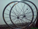 DSC00536.jpg